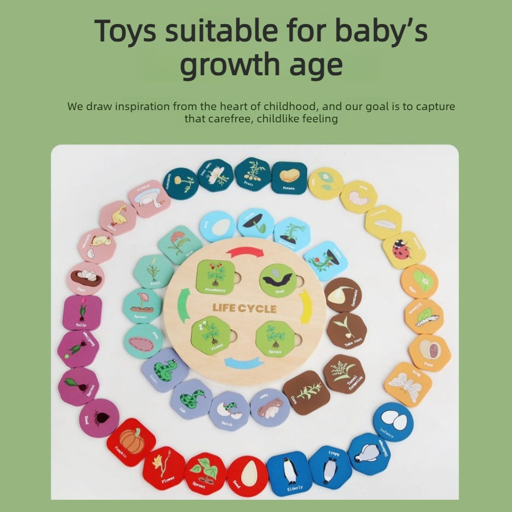 قطعة واحدة من لعبة ألغاز النمو - مراجعة Kids Toys Cycle وسعره